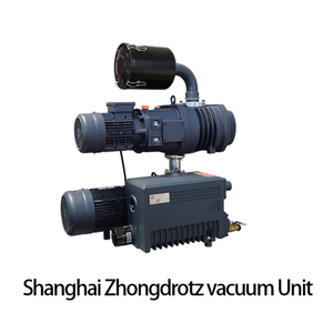 Shanghai Zhongdrotz Vacuum Unit