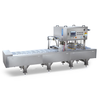 Continuous Mold Skin Vacuum Packing Machine