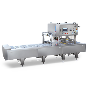 Continuous Mold Skin Vacuum Packing Machine