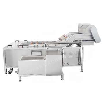 Vegetable Bubble Washing Machine